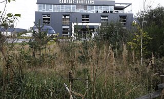 Ein Teil der Ersatzpflanzung auf dem städtischen Grünstreifen neben dem Camping-Kaufhaus ist eingegangen oder abgeknickt worden und muss erneut ersetzt werden. - Roland Thöring