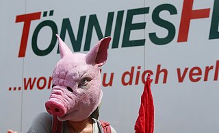 Die Kritik an Tönnies und auch der Politik im Kreis Gütersloh wird immer lauter.  - Patrick Menzel