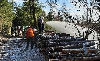 Knapp zwei Kilometer Schlauchleitung kamen am Sonntagnachmittag zusammen, um die Flammen im Forst abzulöschen. - Freiwillige Feuerwehr Marsberg