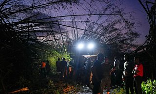 Arbeiter räumen umgestürzte Bäume und Trümmer beiseite. - Matias Delacroix/AP/dpa