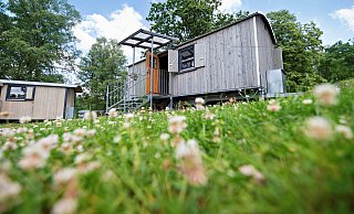 In der Wagenburg stehen kleine, moderne Tinyhäuser inmitten der Natur. Für den Kurzurlaub vor der Haustür. - Niedersächsische Landesforsten