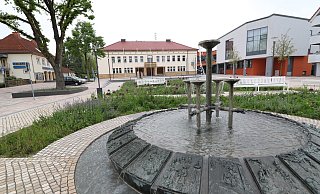 Das Rathaus Bad Driburg ist umworben, vier Kandidaten hoffen, hier künftig auf dem Chefsessel zu sitzen. - Simone Flörke