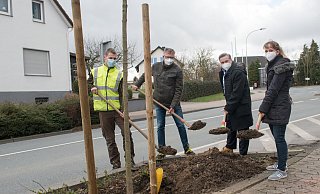 Florian Müller (SWK, v. l.), Axel Echternkamp (Grünflächenamt), Bürgermeister Tim Kähler und Klimaschutzmanagerin Laetitia Müller zeigen schon mal, wie das mir dem Einpflanzen funktiorniert. - Ralf Bittner