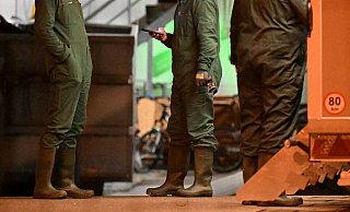 Nach dem Ausbruch der Vogelgrippe in Baden-Württemberg müssen in einem Geflügelbetrieb im Alb-Donau-Kreis südöstlich von Stuttgart rund 15.000 Tiere getötet werden. - -/onw-images/dpa