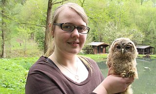 Dieses Waldkauz-Küken, das Biologin Anna Reichel auf dem Arm hält, sieht aus wie ausgestopft, ist aber echt. - Burkhard Battran