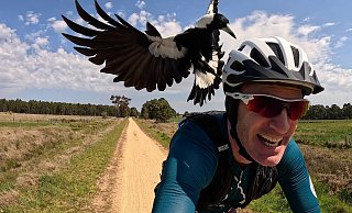 Radfahrer Shane Miller testet einen «PieProof»-Helm gegen Magpie-Angriffe. - Shane Miller/GPLama/dpa