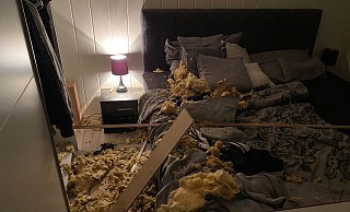 Die Waschbären sind samt Decke ins Bett gestürzt. - privat