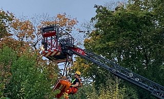 Rund zweieinhalb Meter ist der Mann an der Marienkirche in die Tiefe gestürzt. Die Feuerwehr setzte zur Rettung eine Drehleiter ein. - Henning Wandel