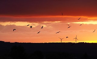 Sonnenuntergang in der Egge: Deutlich zu warm war der August in diesem Jahr. Dafür gab es viel Sonnenschein und manch schönen Sonnenuntergang. - Josef Köhne