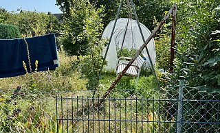 Von einer guten Nachbarschaft kann man in diesem Fall wohl nicht sprechen. Der Garten mit dem Hanfanbau zur mutmaßlichen Gewinnung von Cannabis grenzt direkt an den Gartenbereich der Paulus-Kita. Die Nachbarn haben nun genug von lärmenden, alkoholisierten oder unter Drogen stehenden Bewohnern. - Robert Becker