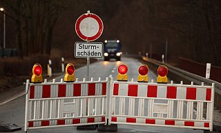 Zahlreiche Straßen und Wälder waren wegen Schäden oder der Gefahr herabfallender Äste gesperrt. - picture alliance/dpa/dpa-Zentralbild