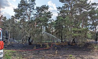 Erneut kam es am Donnerstag zu einem ausgedehnten Vegetationsbrand auf dem Truppenübungsplatz Senne im Bereich der Schießbahnen Alma und Lima. - Feuerwehr