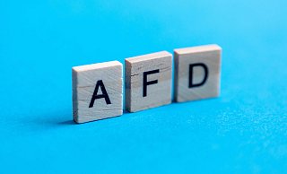 Die Alternative für Deutschland tritt auch bei der Kommunalwahl in Rheda-Wiedenbrück an. - Picture Alliance