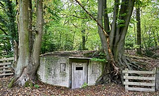 Das ist wohl der letzte Luftschutzbunker aus dem Zweiten Weltkrieg in Harsewinkel im Kreis Gütersloh. - Wolfgang Wotke