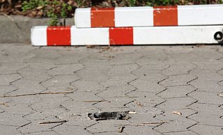 Festgeschweißt und wieder losgeflext: Ein Rettungswagen mit Patient aus Vlotho kam Karfreitag nicht durch diese Absperrung Am Hambkebach. - Ulf Hanke