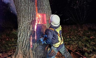 Um an Brandherd heranzukommen, musste die Feuerwehr Höxter den Baum aufsägen. Letztendlich musste er gefällt werden. - Thomas Kube