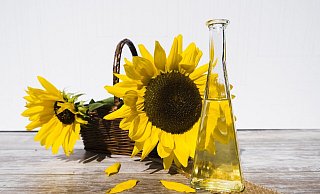 Die deutsche Ernährungsindustrie reagiert auf die wirtschaftlichen Auswirkungen des Ukraine-Kriegs. - Symbolfoto: Pixabay