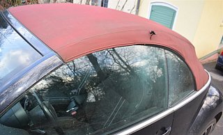 Das Loch ist deutlich zu erkennen. Unbekannte haben das Verdeck zerstört. - Polizei Herford