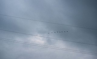 Vor allem Süddeutschland bereitet sich auf schwere Unwetter am Wochenende vor. - Pia Bayer