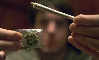 Die Cannabis-Fans aus Bielefeld warten darauf, ihre eigene Ware anbauen und konsumieren zu können. - dpa