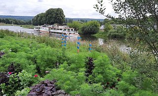 Das Fahrgastschiff "Höxter" der Flotte Weser auf der Weser. - David Schellenberg Das Fahrgastschiff "Höxter" der Flotte Weser auf der Weser. - David Schellenberg
