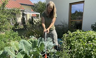 Mit einem Aufsatz für den Gartenschlauch kann Regina Sommer ihre Pflanzen - wie hier Kohlrabi und Rucola - effektiv direkt an die Wurzeln gießen. So verhindert sie auch, dass Wassertropfen auf den Blättern zurück bleiben. Bei direkter Sonneneinstrahlung würde das Wasser dafür sorgen, dass das Blattwerk verbrennt. - Natalie Gottwald
