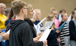 Die Proben für die Premiere des Stücks "Die Biene Maja" laufen auch Hochtouren. Die Premiere ist Ende Mai 2024. - Freilichtbühne Bökendorf