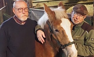 Der Abschied von Niko, dem letzten in Nieheim geborenen Westfälischen Kaltblutpferd fällt Theodor Aust (l.) und Ulrich Pieper sichtlich schwer. - Josef Köhne