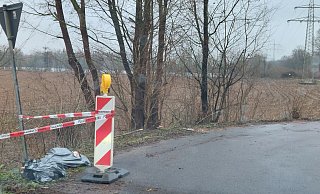 Wieder eine wilde Müllablagerung. Inhalt dieses und eines weiteren Sacks sind offenbar Teile einer toten Kuh. - Schneider/Privat