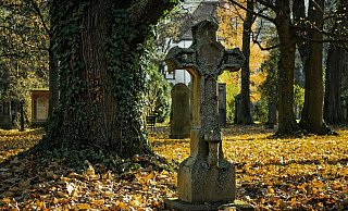 Jemand soll auf dem Friedhof gezündelt haben. - (Symbolbild): Pixabay