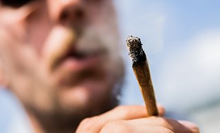 Ab 1. April sind Besitz und Anbau von Cannabis für Volljährige erlaubt. - Christoph Soeder