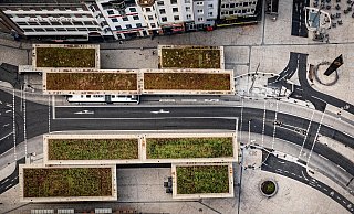 Jahnplatz: Dem Grün auf den Haltestellendächern ist anzusehen, dass es dürstet. - Mike-Dennis Müller / www.mdm.photo