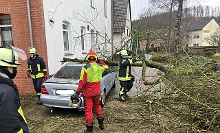 In Brenkhausen stürzte am Freitagmittag ein Baum auf ein Auto. - Feuerwehr Höxter