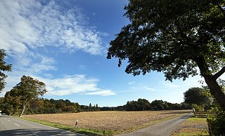 Den riesige Acker zwischen der Senner Straße und dem Nordfeldweghat die BBVG für die Ansiedlung von Gewerbe schon 2019 gekauft. Die Entwässerung des Gebietes ist allerdings problematisch, da die Kanäle ins Gebiet der Nachbarstadt Gütersloh reichen. - Oliver Krato,Oliver Krato