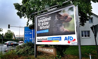 Diese AfD-Wahlplakat steht an der Verler Straße stadtauswärts. Die Feuerwehr kritisiert, dass es die Sicht versperre. - Andreas Frücht