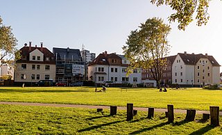 70 Bäume mussten nach dem Tornado im Mai im Paderborner Riemekepark gefällt werden. Jetzt sollen schon bald neue angepflanzt werden. - Lena Henning