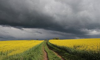 Bei Gewitter ist es lebenswichtig, sich im Freien richtig zu schützen. - Pixabay (Symbolbild)