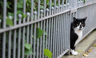 Ein Streit an einem Gartenzaun ist offenbar eskaliert. - Angelika Warmuth/dpa