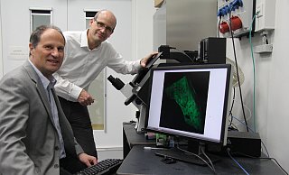 Physiker Thomas Huser (l.) und Chirurg Jan Schulte am Esch betrachten die Aufnahme einer Lebergewebeprobe, auf der die Gewebestrukturen und Gallengänge zu sehen sind. Visualisierungen dieser Art nutzen die Beiden für ihre Forschung. - Carolin Nieder-Entgelmeier