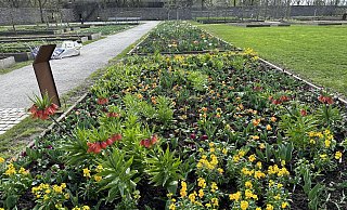 Im Remtergarten im Huxarium-Gartenpark in Höxter erwarten die Besucher blühende Landschaften. - Ralf T. Mischer