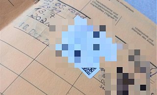Impfpässe sind offenbar begehrt - das ruft Fälscher auf den Plan. - Symbolbild/Simone Flörke