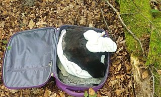 Wer erkennt den Koffer wieder, in dem in der Nähe des Parkplatzes Eisgrund eine tote Katze lag?