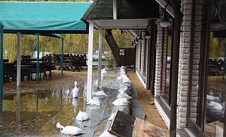 Bis zu den Sandsäcken, die vor dem Eingang der "Moor Ranch" gestapelt sind, reichte das Wasser am Dienstagmittag schon. - Mareike Patock