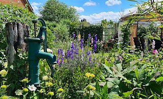 Oft wässern müssen die Besitzer ihren Garten nicht, denn sie pflanzen nur noch Arten, die mit Trockenheit gut klar kommen. - Birgit Vredenburg