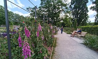 Für die Bänke auf dem Gelände der Landesgartenschau in Höxter können Patenschaften übernommen werden. - LGS Höxter/ Manuela Puls
