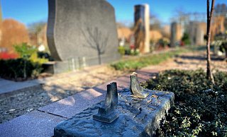 Einfach abgebrochen: Von dem 1,50 Meter großen Bronzeguss-Kreuz auf der Ruhestätte der Familie Nüßing ist nichts geblieben. Grabräuber haben auf dem Spexarder Friedhof zugeschlagen und auf mehr als 35 Ruhestätten gewütet. - Christian Bröder
