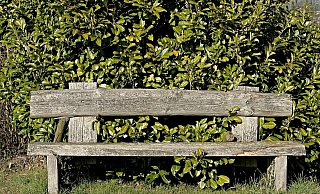 Sicher scheint, dass es auf der Bank im Kreis Gütersloh zu sexuellen Handlungen kam. Doch waren diese einvernehmlich? Das wird jetzt vor Gericht entschieden. - Symbolfoto/Pixabay