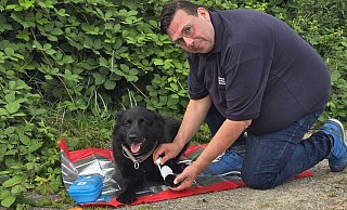 Schnell ist es beim Gassigehen passiert: Der Hund tritt in einen spitzen Steinm oder gar in eine Glasscherbe und blutet. Sandro Cajafa zeigt, wie Herrchen oder Frauchen die Pfote richtig verbinden können. - privat