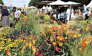 Höxter: Das Gartenfest in Corvey ist traditionell gut besucht. Aber wie sieht es aus, wenn zeitgleich die Landesgartenschau stattfindet? - Simone Flörke