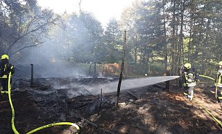 Die Feuerwehrkräfte hatten den Brand am Ziepelbrink schnell unter Kontrolle. - Nicole Sielermann